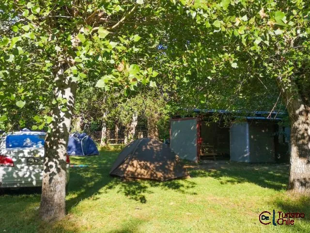 Sitio de camping con carpas bajo los árboles nativos del camping