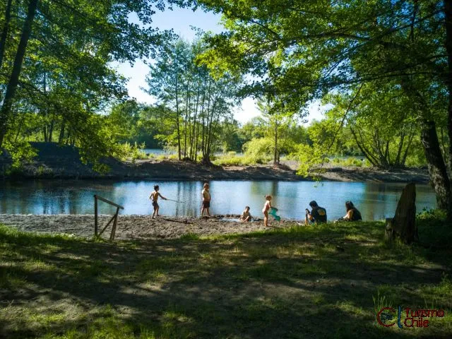 Niños jugando en la orilla natural del río Laja bajo los árboles