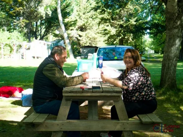 Pareja disfrutando un día de picnic en mesas bajo los árboles